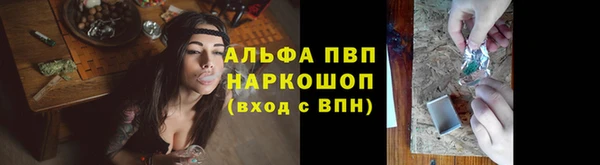 сатива Алексеевка