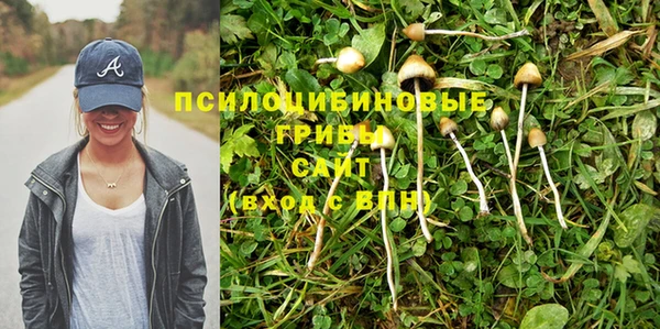гидра Переславль-Залесский