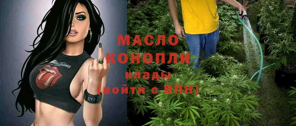 мет Пересвет