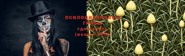 кристаллы Алзамай