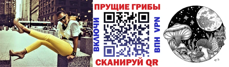 Псилоцибиновые грибы прущие грибы  Сокол 