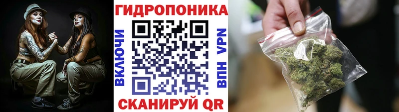 цены наркотик  Сокол  Бошки марихуана THC 21% 